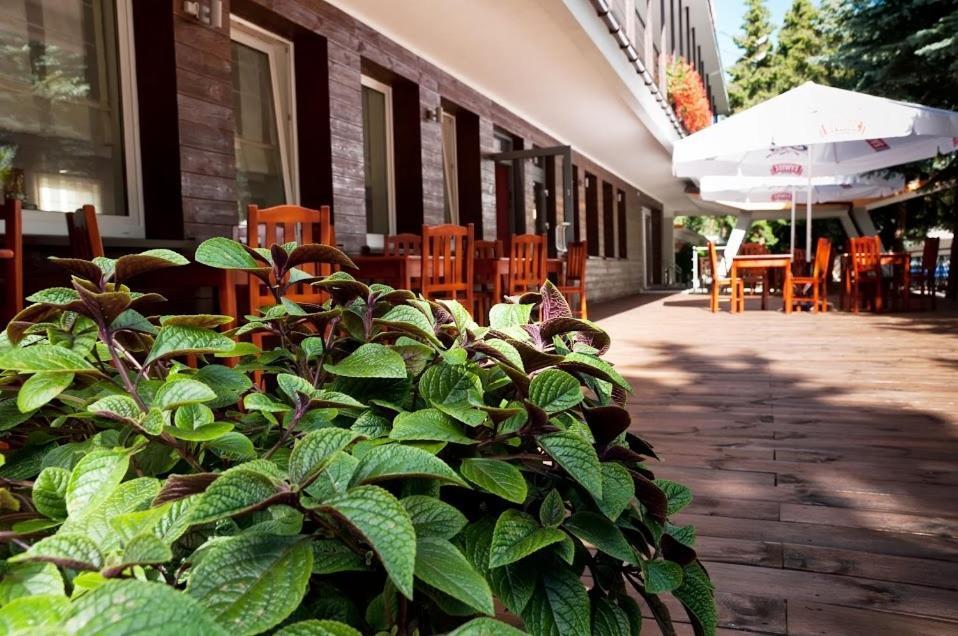 Vistula Hotel Świecie Екстериор снимка